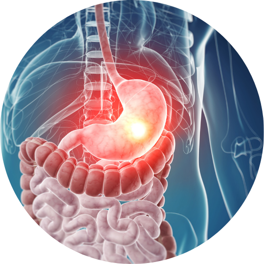 Curso de Atualização Gastroenterologia - 2022 - 2